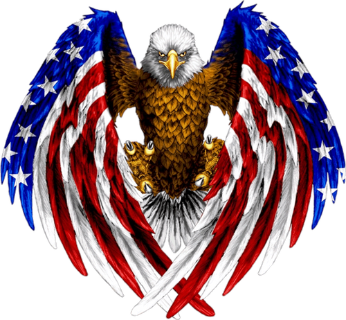 Patriotic Eagle with Flag Wings Tattoo PPM Exclusive - 8 x 5