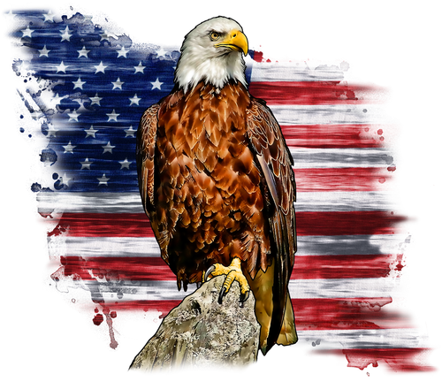 Regal Patriotic Eagle on Flag Tattoo PPM Exclusive - 8 x 5